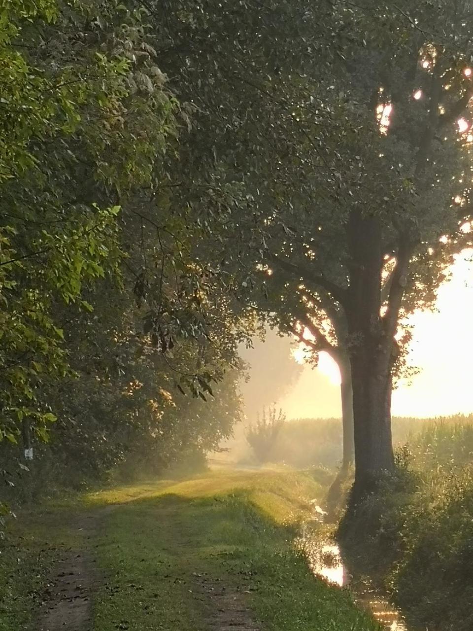 Agriturismo Tenuta "Il Cigno" Villanterio Extérieur photo